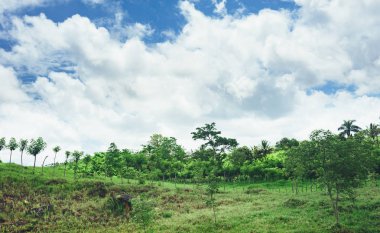Mavi gökyüzü ve çayırlı güzel bulut.