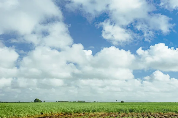 Blue Sky Beautiful Cloud Meadow — Stock Photo, Image