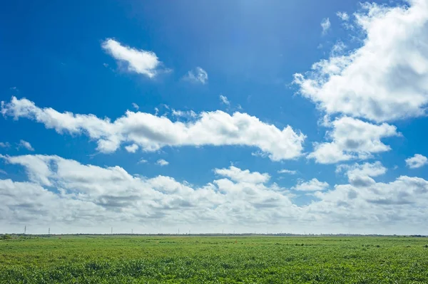 Mavi Gökyüzü Çayırlı Güzel Bulut — Stok fotoğraf