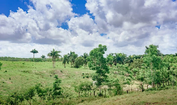 Céu Azul Bela Nuvem Com Prado — Fotografia de Stock