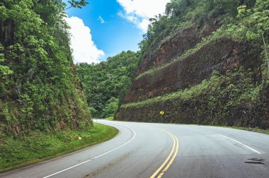 Bulutlu gökyüzü ve dağ manzaralı ormanı geçerken yol