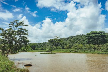 Rocky river banka tropikal orman bitkilerde ile. Kahverengi kirli su görünümünü