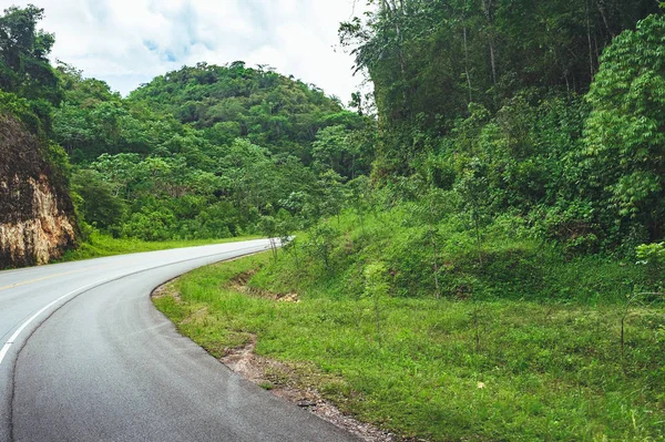 Road Crossing Forest Cloudy Sky Mountain View — Stock Photo, Image