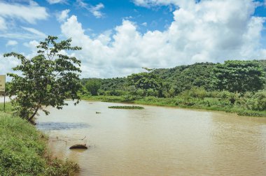 Rocky river banka tropikal orman bitkilerde ile. Kahverengi kirli su görünümünü.