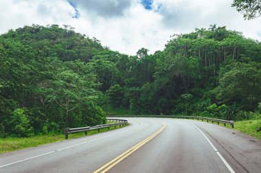 Bulutlu gökyüzü ve dağ manzaralı ormanı geçerken yol