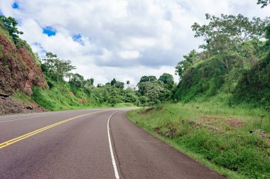 Bulutlu gökyüzü ve dağ manzaralı ormanı geçerken yol