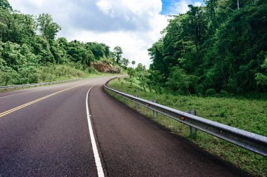 Bulutlu gökyüzü ve dağ manzaralı ormanı geçerken yol
