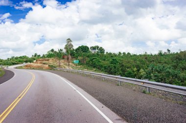 Bulutlu gökyüzü ve dağ manzaralı ormanı geçerken yol