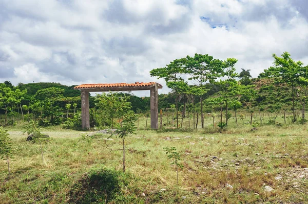 Hermoso Fondo Vibrante Que Consta Árboles Selva Tropical América Central — Foto de Stock