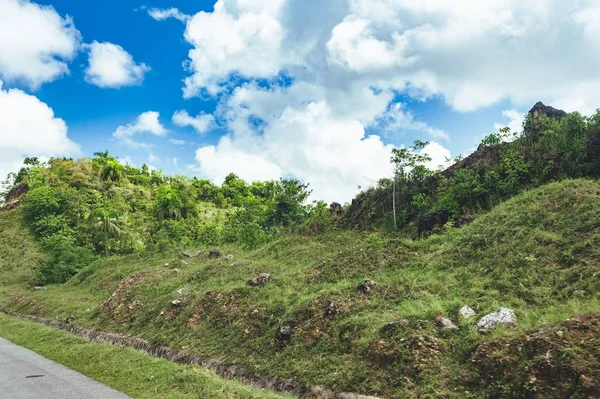 Mooie levendige achtergrond bestaande uit bomen van het regenwoud van Midden-Amerika. Typische landschap van de Dominicaanse Republiek, Guatemala, Costa Rica. — Stockfoto