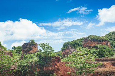 Orta Amerika'nın yağmur ormanı ağaçlarının oluşan güzel hareketli arka plan. Dominik Cumhuriyeti, Guatemala, Kosta Rika tipik peyzaj.
