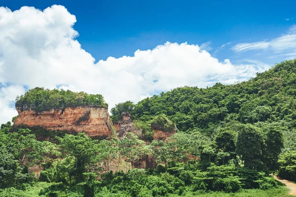 Vackra levande bakgrund bestående av träden i regnskogen i Centralamerika. Typiska landskapet i Dominikanska republiken, Guatemala, Costa Rica. — Stockfoto