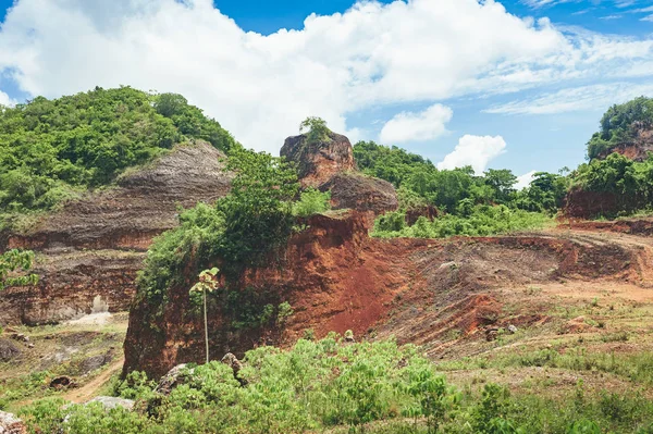 Vackra levande bakgrund bestående av träden i regnskogen i Centralamerika. Typiska landskapet i Dominikanska republiken, Guatemala, Costa Rica. — Stockfoto
