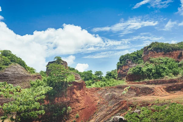 Vackra levande bakgrund bestående av träden i regnskogen i Centralamerika. Typiska landskapet i Dominikanska republiken, Guatemala, Costa Rica. — Stockfoto