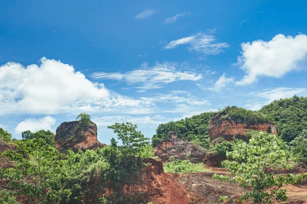 Vackra levande bakgrund bestående av träden i regnskogen i Centralamerika. Typiska landskapet i Dominikanska republiken, Guatemala, Costa Rica. — Stockfoto