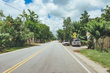 Bulutlu gökyüzü ve dağ manzaralı ormanı geçerken yol.