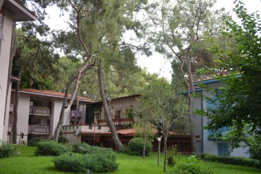 Klasik tarzı balkon yaz zaman çiçekli.