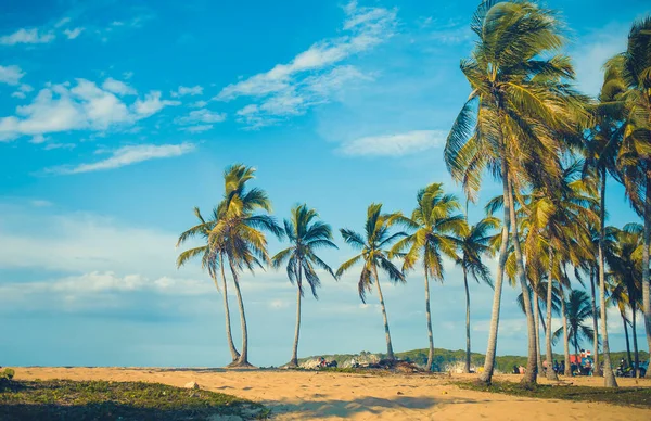 Paradise Tropical Sunset Seaside Scene — Stock Photo, Image