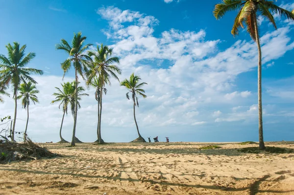 Paradise Tropical Sunset Seaside Scenă — Fotografie, imagine de stoc