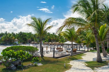 Tropikal Cennet 'teki Palm ve Tropikal plajlar. Dominik Cumhuriyeti, Seyşeller, Karayipler, Filipinler, Bahamalar 'da yaz tatili. Cennet kumsalında dinleniyorlar. Atlantik Okyanusunda Lüks Tatil Köyü.
