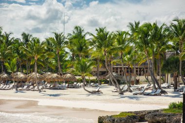 Tropikal Cennet 'teki Palm ve Tropikal plajlar. Dominik Cumhuriyeti, Seyşeller, Karayipler, Filipinler, Bahamalar 'da yaz tatili. Cennet kumsalında dinleniyorlar. Atlantik Okyanusunda Lüks Tatil Köyü