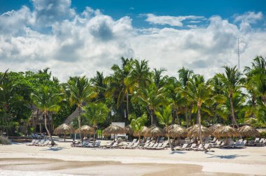 Tropikal Cennet 'teki Palm ve Tropikal plajlar. Dominik Cumhuriyeti, Seyşeller, Karayipler, Filipinler, Bahamalar 'da yaz tatili. Cennet kumsalında dinleniyorlar. Atlantik Okyanusunda Lüks Tatil Köyü