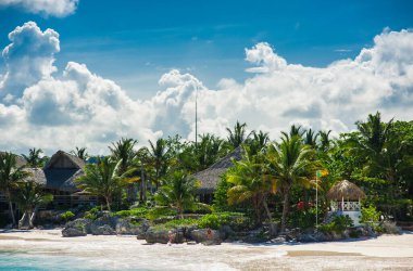 Tropikal Cennet 'teki Palm ve Tropikal plajlar. Dominik Cumhuriyeti, Seyşeller, Karayipler, Filipinler, Bahamalar 'da yaz tatili. Cennet kumsalında dinleniyorlar. Atlantik Okyanusunda Lüks Tatil Köyü