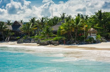 Tropikal Cennet 'teki Palm ve Tropikal plajlar. Dominik Cumhuriyeti, Seyşeller, Karayipler, Filipinler, Bahamalar 'da yaz tatili. Cennet kumsalında dinleniyorlar. Atlantik Okyanusunda Lüks Tatil Köyü