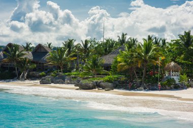 Tropikal Cennet 'teki Palm ve Tropikal plajlar. Dominik Cumhuriyeti, Seyşeller, Karayipler, Filipinler, Bahamalar 'da yaz tatili. Cennet kumsalında dinleniyorlar. Atlantik Okyanusunda Lüks Tatil Köyü