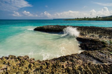 Tropikal Cennet 'teki Palm ve Tropikal plajlar. Dominik Cumhuriyeti, Seyşeller, Karayipler, Filipinler, Bahamalar 'da yaz tatili. Cennet kumsalında dinleniyorlar. Atlantik Okyanusunda Lüks Tatil Köyü