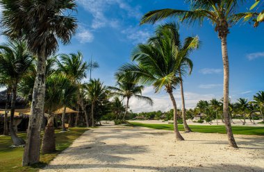 Tropikal Cennet 'teki Palm ve Tropikal plajlar. Dominik Cumhuriyeti, Seyşeller, Karayipler, Filipinler, Bahamalar 'da yaz tatili. Cennet kumsalında dinleniyorlar. Atlantik Okyanusunda Lüks Tatil Köyü.