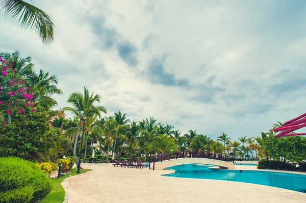 Vacations Tropics Pool Sun Rays Shine Leaves Palm Trees — Stock Photo, Image