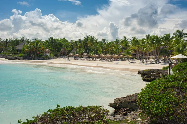 Palmen Und Tropischer Strand Tropical Paradise Sommerurlaub Der Dominikanischen Republik — Stockfoto