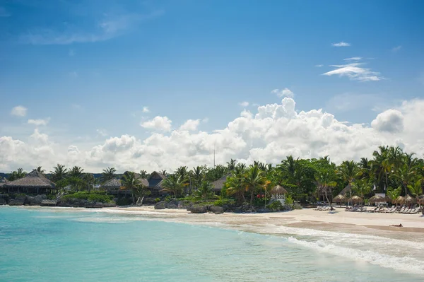 Palma Praia Tropical Tropical Paradise Férias Verão República Dominicana Seychelles — Fotografia de Stock