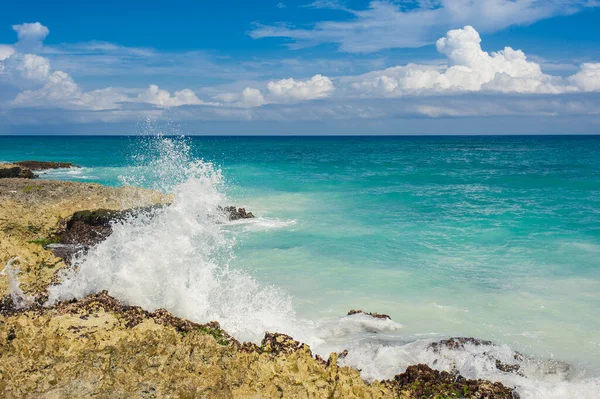 Пляж Пальм Фалаль Парадизе Летнее Время Доминиканской Республике Сейшельских Островах — стоковое фото
