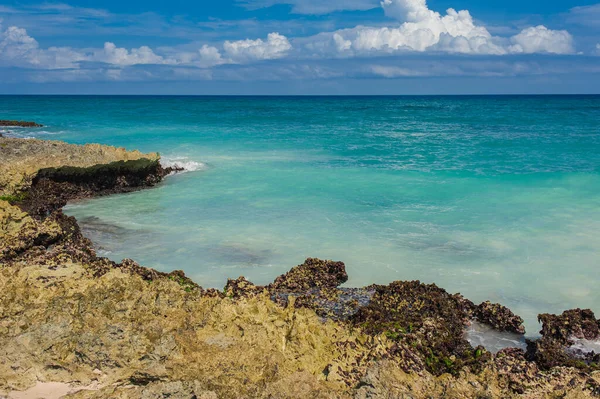 Palm Tropisch Strand Tropical Paradise Zomervakantie Dominicaanse Republiek Seychellen Caribisch — Stockfoto