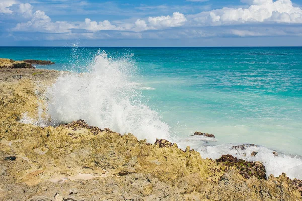 Palm Tropisch Strand Tropical Paradise Zomervakantie Dominicaanse Republiek Seychellen Caribisch — Stockfoto