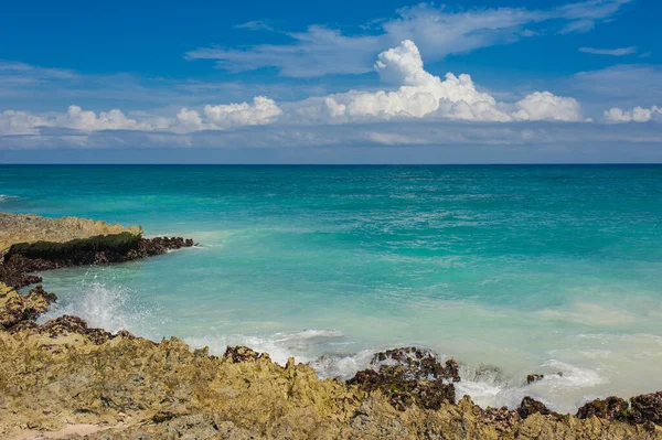 Palm Spiaggia Tropicale Nel Paradiso Tropicale Vacanza Estiva Repubblica Dominicana — Foto Stock