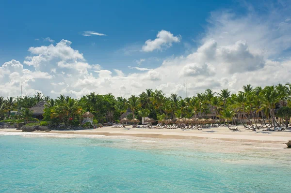 낙원의 야자나무와 도미니카 공화국 세이셸 카리브 필리핀 바하마 에서의 해변에서 — 스톡 사진