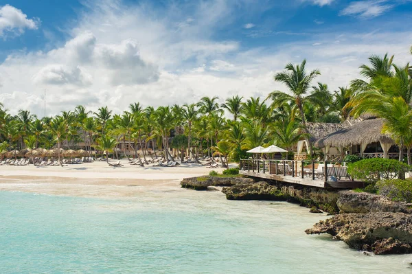 Palm Och Tropisk Strand Tropical Paradise Sommarsemester Dominikanska Republiken Seychellerna — Stockfoto