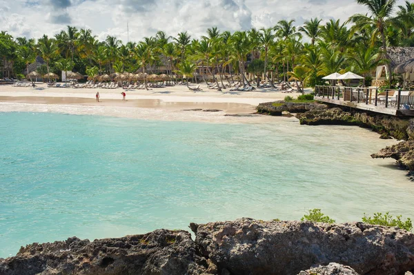 Pálma Trópusi Strand Trópusi Paradicsomban Nyaralás Dominikai Köztársaságban Seychelle Szigetek — Stock Fotó