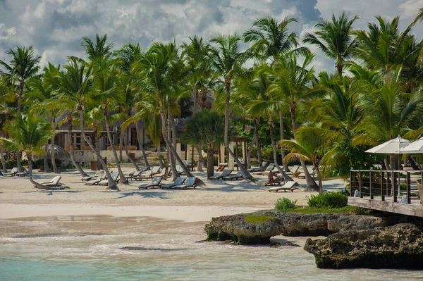 热带天堂的棕榈滩和热带海滩 在多米尼加共和国 塞舌尔 加勒比 菲律宾 巴哈马的暑假 在遥远的天堂海滩放松 大西洋上的豪华度假胜地 — 图库照片