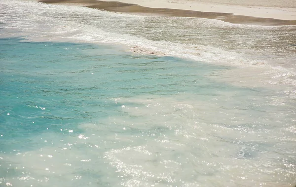 Palm Spiaggia Tropicale Nel Paradiso Tropicale Vacanza Estiva Repubblica Dominicana — Foto Stock