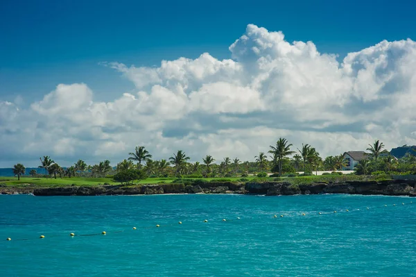 Palma Tropikalna Plaża Tropical Paradise Letni Wypoczynek Dominikana Seszele Karaiby — Zdjęcie stockowe