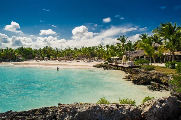 Palma Praia Tropical Tropical Paradise Férias Verão República Dominicana Seychelles — Fotografia de Stock