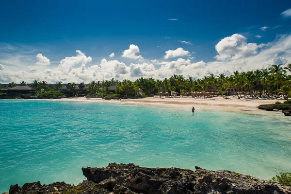 Pálma Trópusi Strand Trópusi Paradicsomban Nyaralás Dominikai Köztársaságban Seychelle Szigetek — Stock Fotó