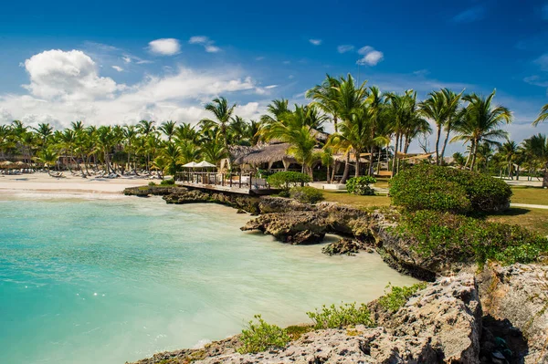 Tropikal Cennet Teki Palm Tropikal Plajlar Dominik Cumhuriyeti Seyşeller Karayipler — Stok fotoğraf