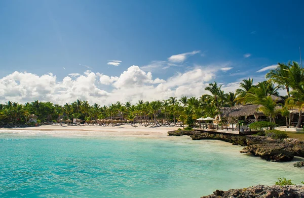 Palma Praia Tropical Tropical Paradise Férias Verão República Dominicana Seychelles — Fotografia de Stock