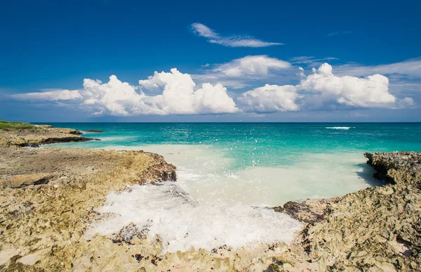 Palmen Und Tropischer Strand Tropical Paradise Sommerurlaub Der Dominikanischen Republik — Stockfoto