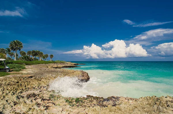 Palma Playa Tropical Tropical Paradise Vacaciones Verano República Dominicana Seychelles —  Fotos de Stock